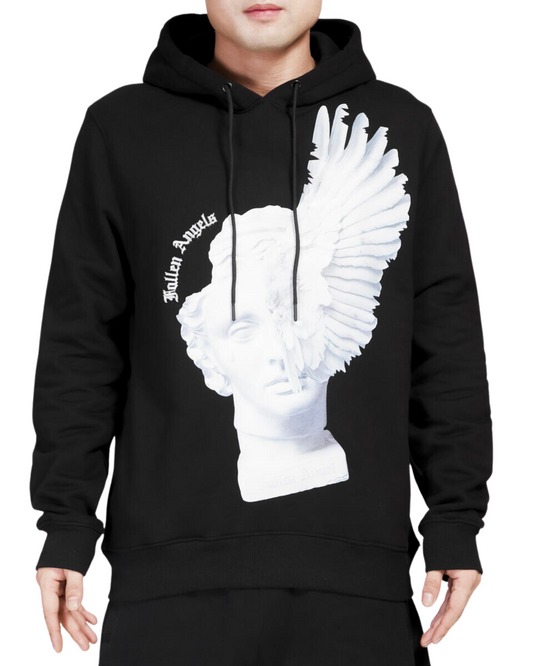 Fallen Angel Hoodie 5481198