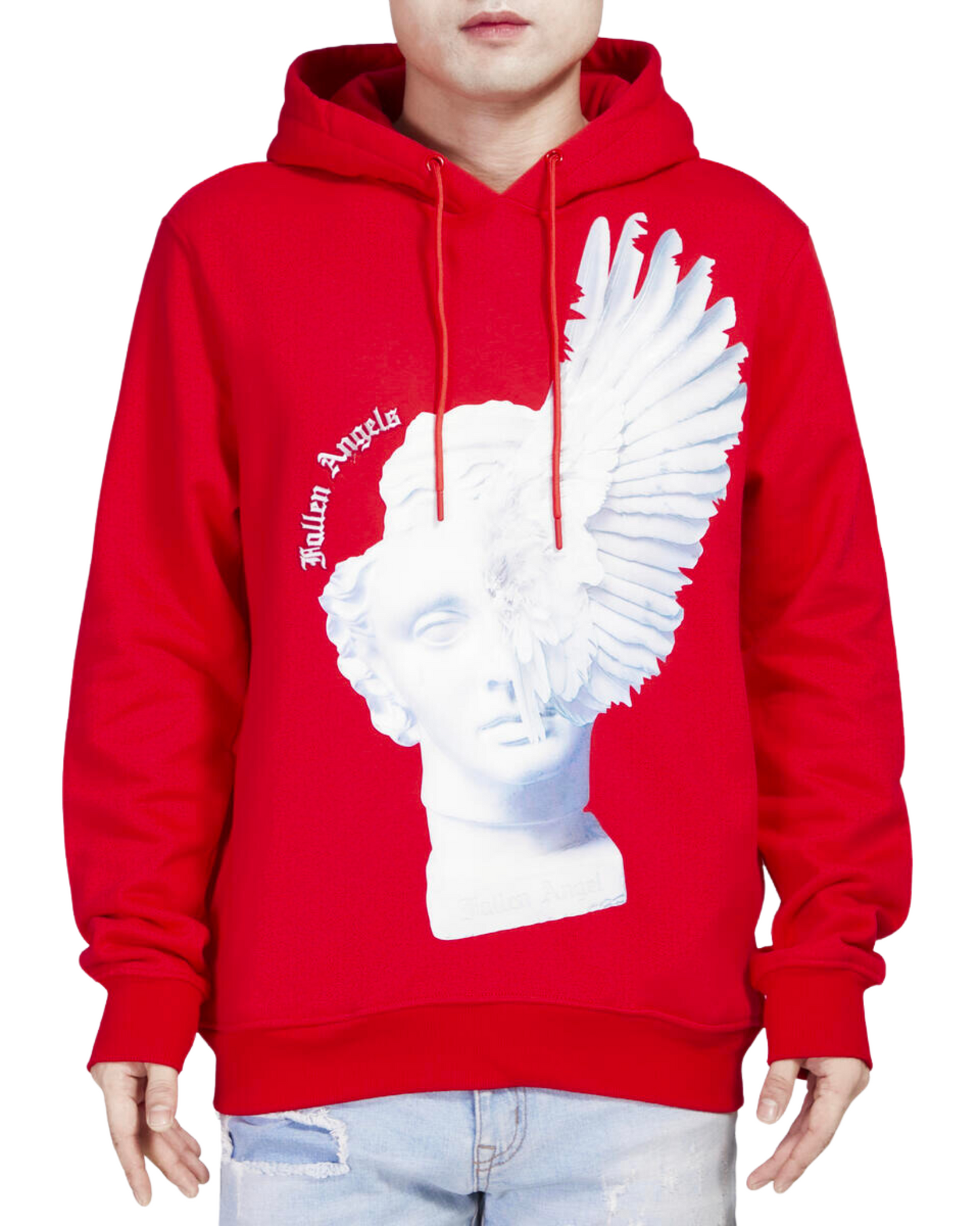 Fallen Angel Hoodie 5481198