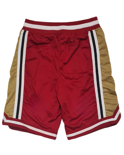 Mesh Basketball Shorts 8902S